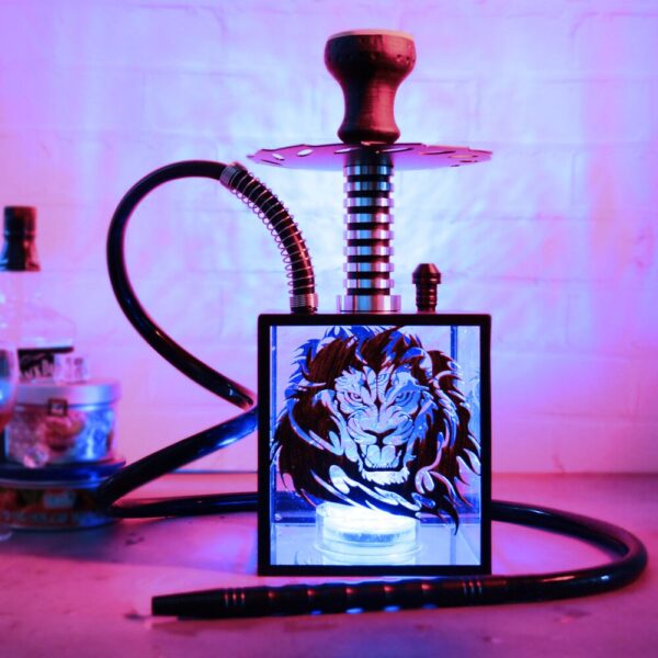 Chicha Cube Lion de luxe